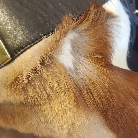 Wilson's Leather Deer Hide Genuine Leather Purse - Picture 4 of 9